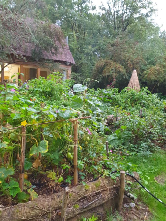 La Cabane Choussy Buitenkant foto